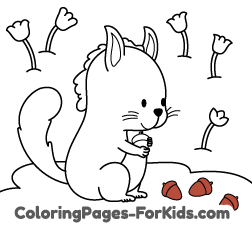 Online animal drawings for kids and online coloring pages to paint: Squirrel