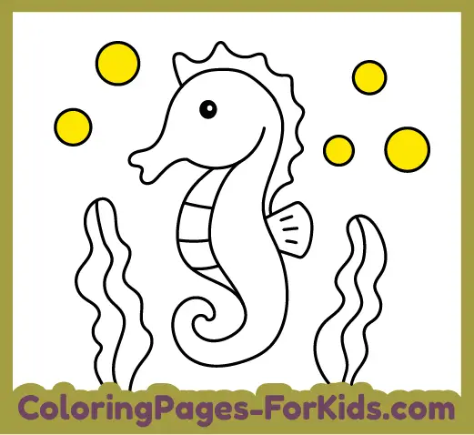 Free coloring pages and online animal drawings for young kids: Seahorse