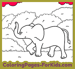 Elephant Coloring Drawing for Kids