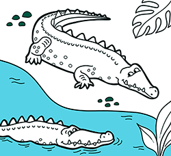 Free Animal Coloring Pages: Crocodile
