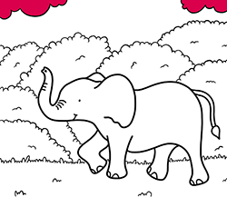Elephant Coloring Drawing for Kids