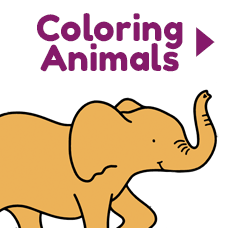 Coloring Animals